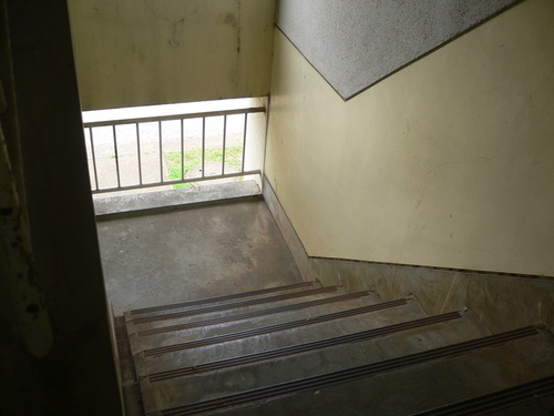 公団の階段