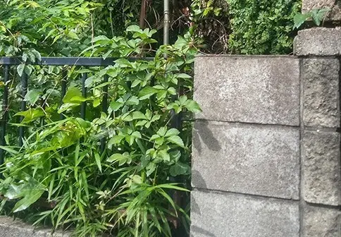 実家の管理が滞っている状態